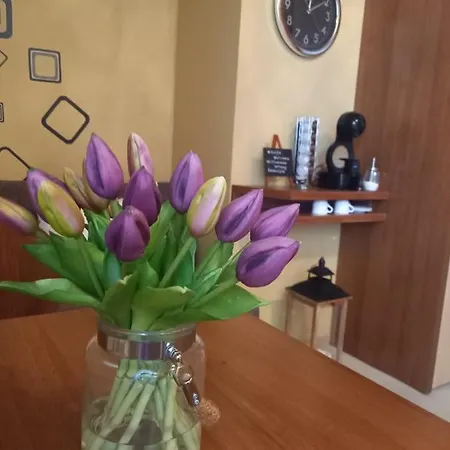 アパート Tatragolf - Milan K 204 *