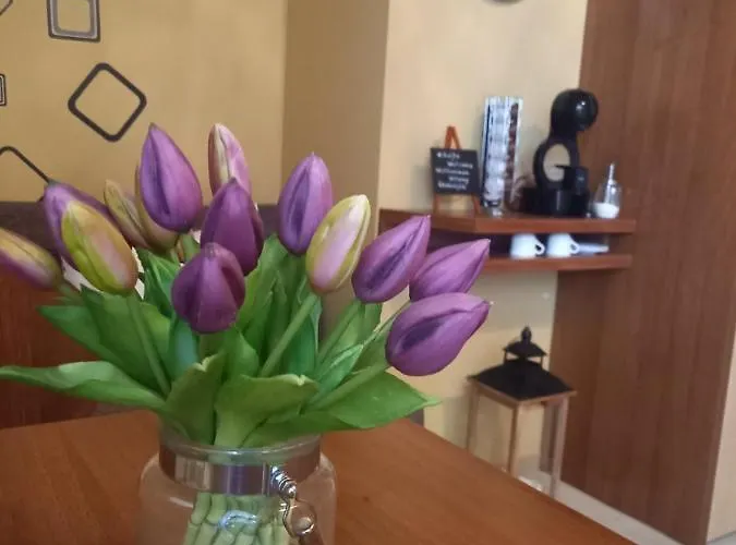 شقة Tatragolf - Milan K 204 *